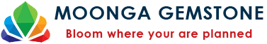 logo-image